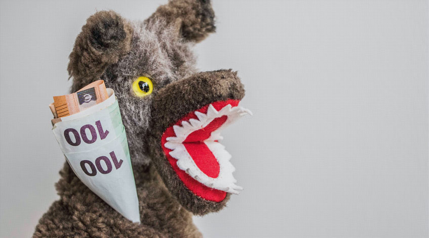 Wolf with Euro bills