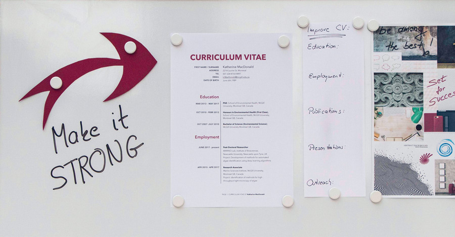 Academic-CV-on-whiteboard