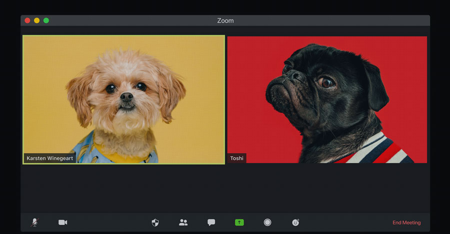The dos and don'ts of Zoom meetings